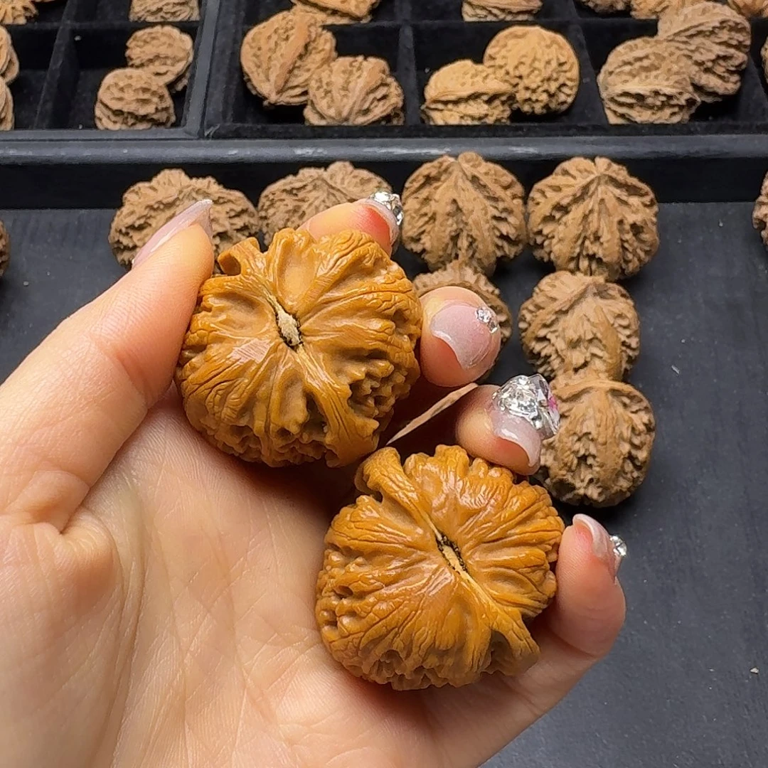 小***五桃木突突突突突突突