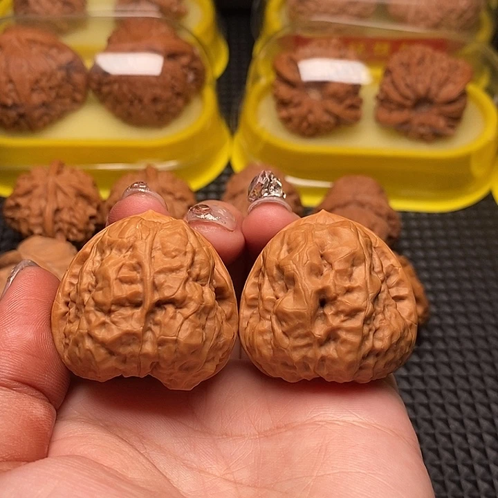 39边43肚 金蟾三角蛙