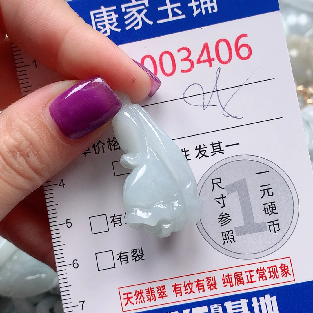 颈饰未镶嵌翡翠v