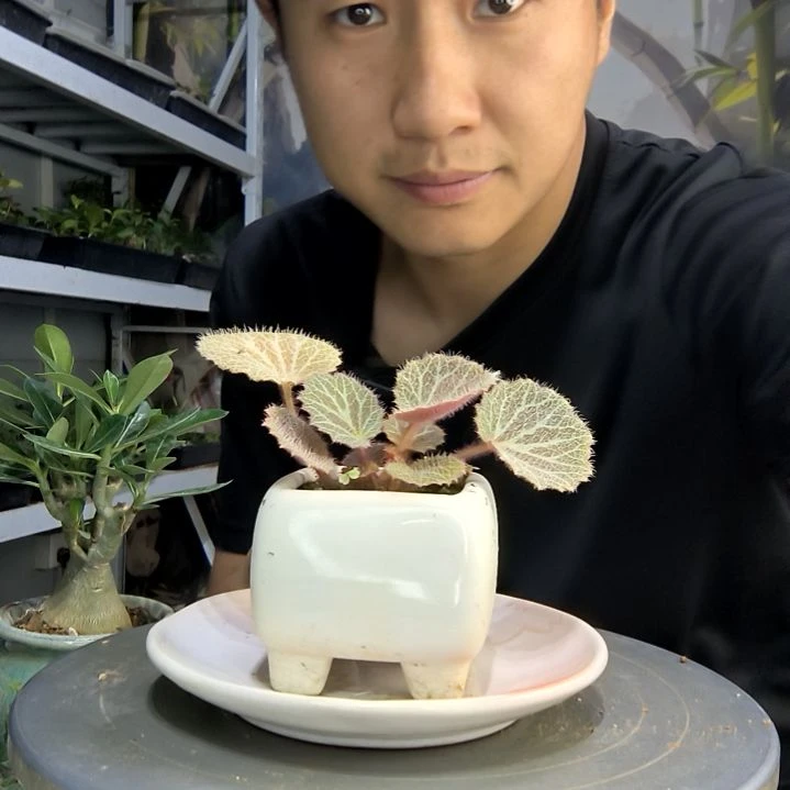 纤*中青园艺一物一拍125