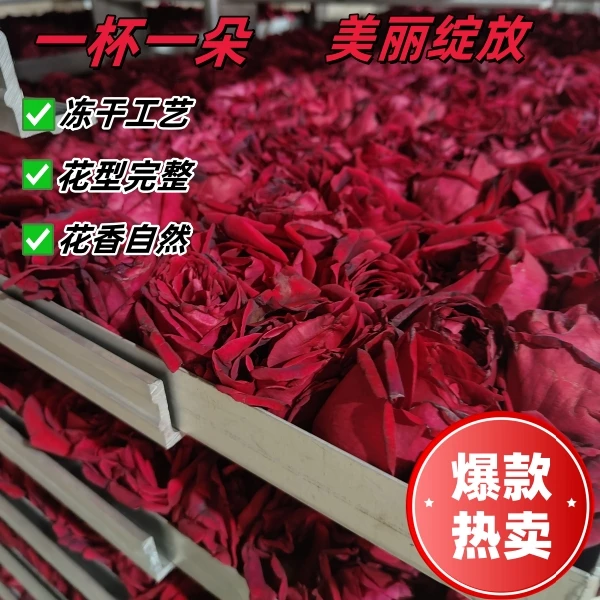 云南精选冻干墨红玫瑰花冠茶重瓣大朵富含花青素