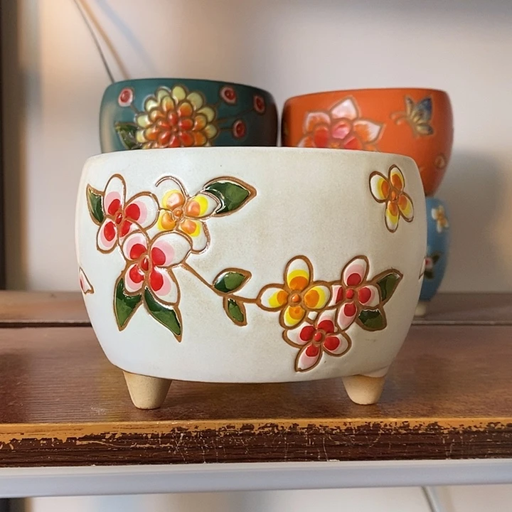 韩式多肉植物花盆