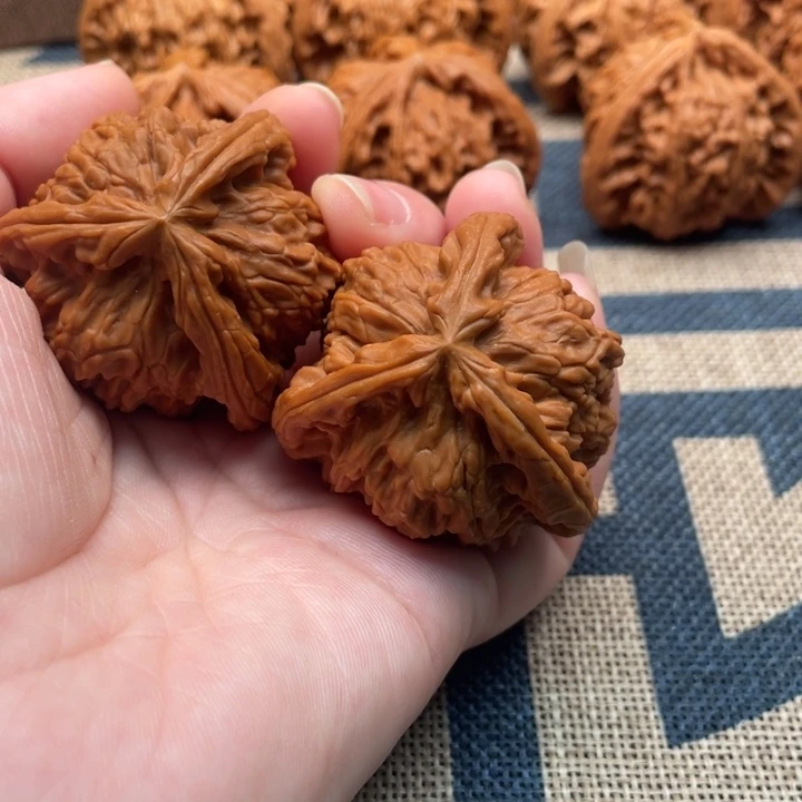 夏***核桃白狮子41核桃