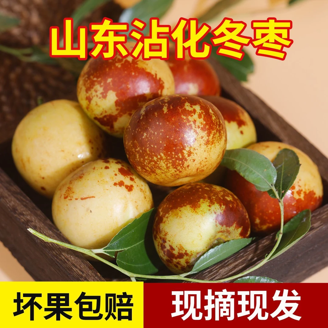 正宗沾化富碱冬枣新鲜现摘脆甜多汁（当季应季水果）