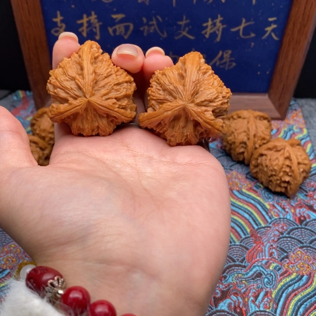 【闪购商品】秦**富白狮