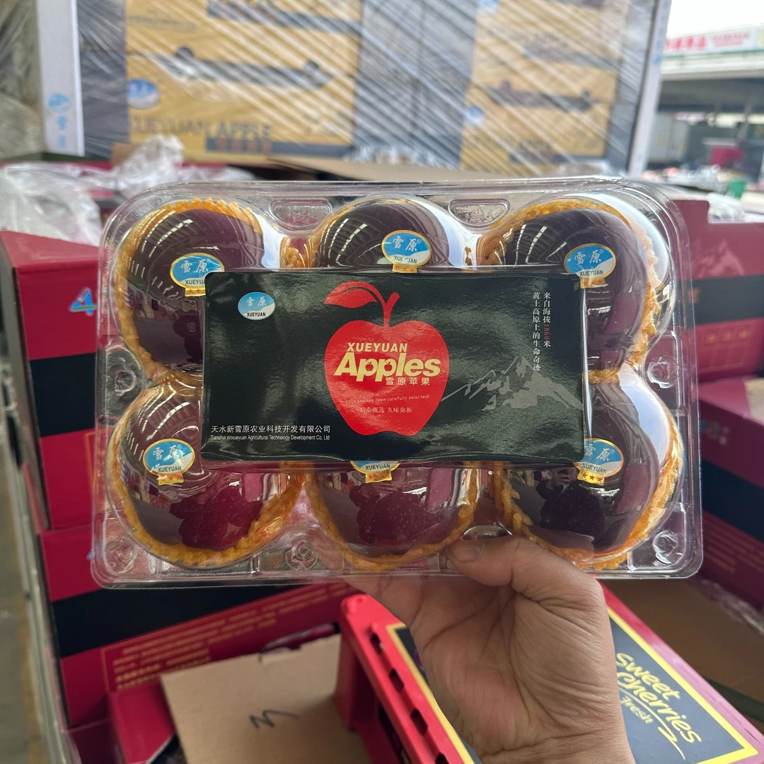 雪原花牛苹果 甘肃 6粒装 2.8斤新鲜苹果天津市