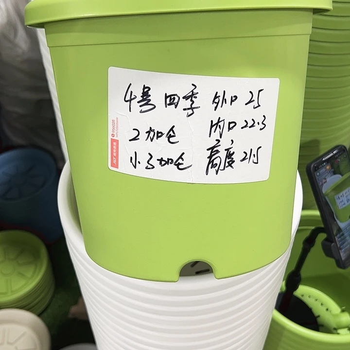 特价4号四季口25高21.5果绿无托8只