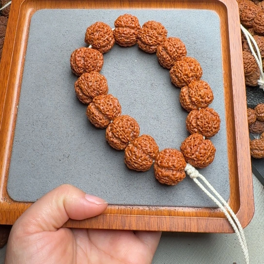 菩提菩提19号尼泊尔大金刚24深沟梅花