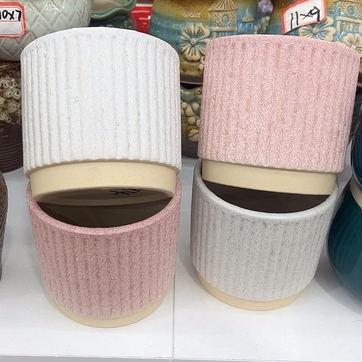 多肉植物陶瓷花盆