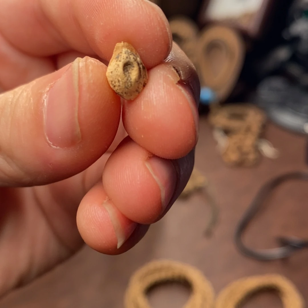 皮***o吊坠柏香籽/百香籽