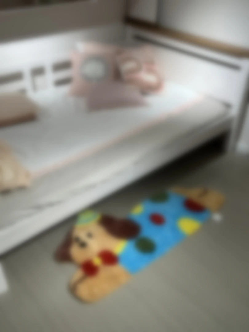 趴趴狗家用卧室可爱卡通植绒客厅床边地毯装饰60*120cm 防滑