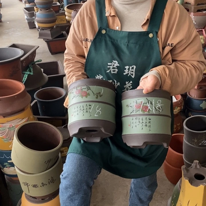 紫砂花盆盆栽花卉苗木种植