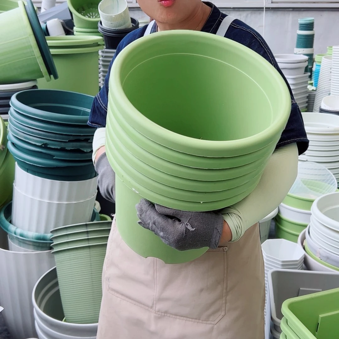 四季盆5#果绿色6个无托