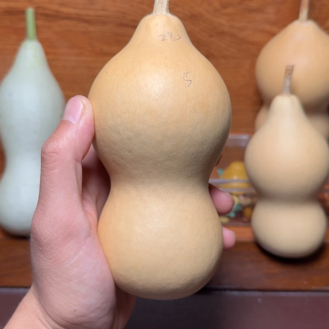 5号本长葫芦定向链接