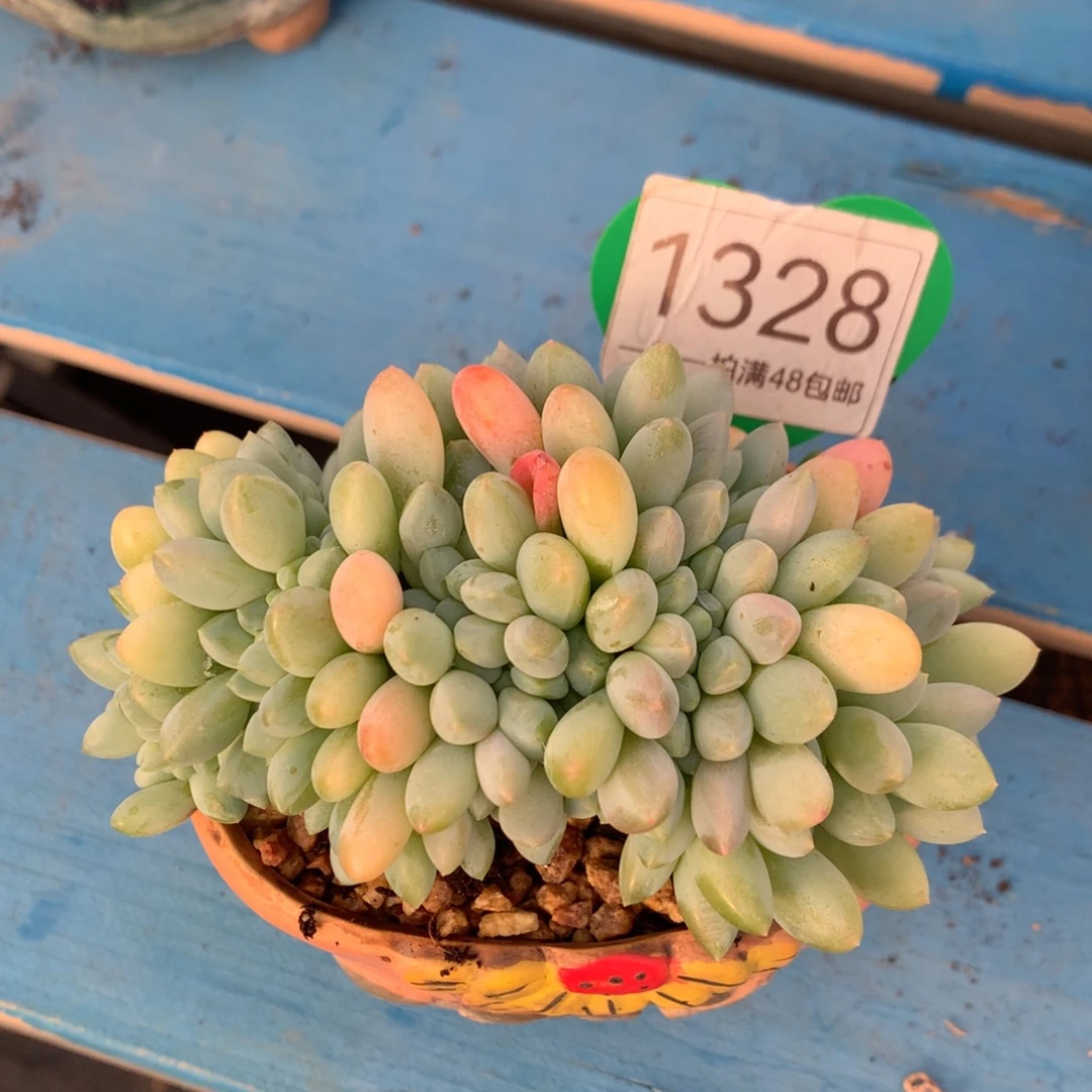 *****奶糖缀化开播福利1328