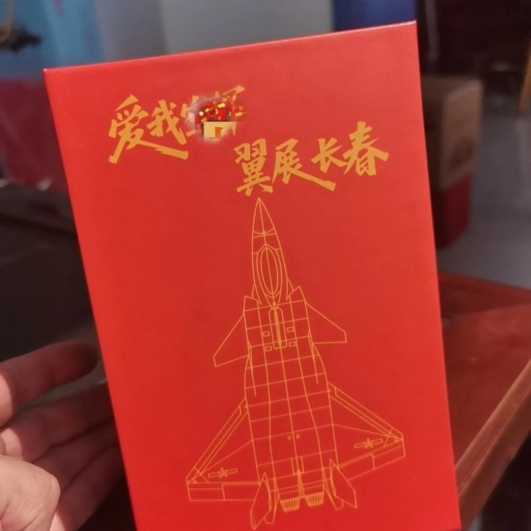 翼展长春航展纪念歼20纪念飞机