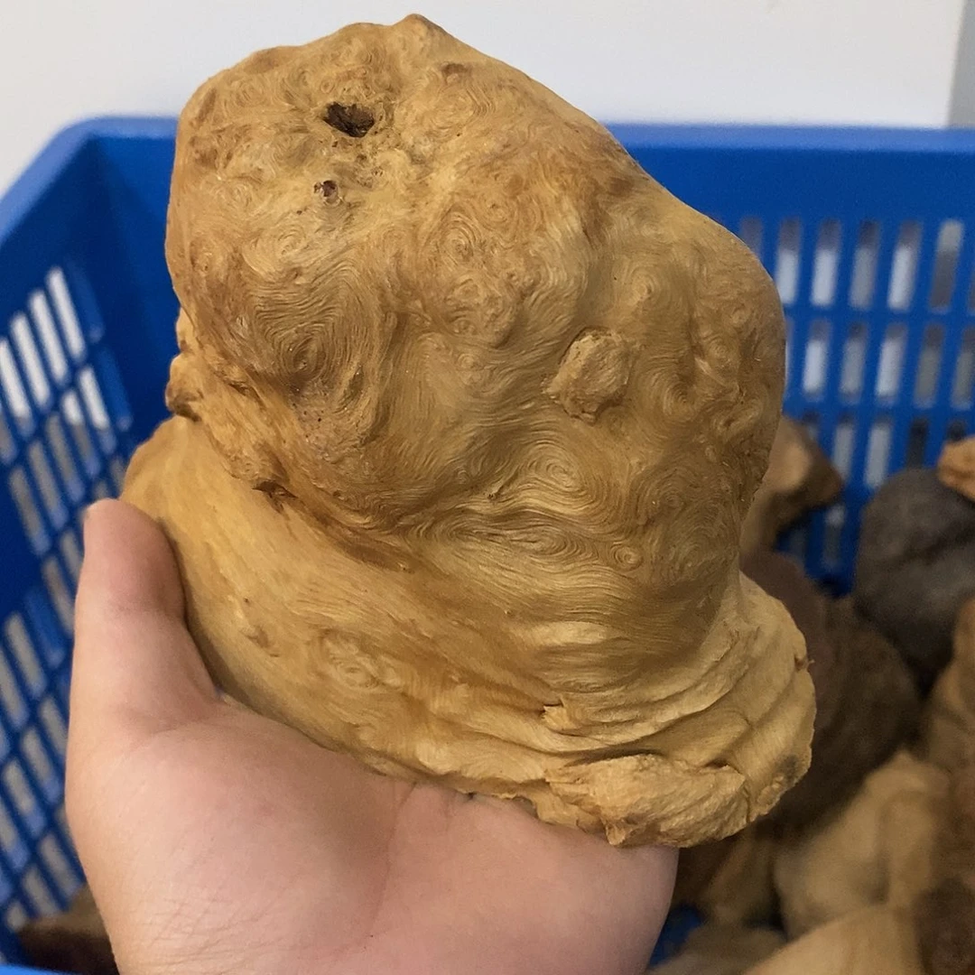 顺***水荔枝木荔枝木原料