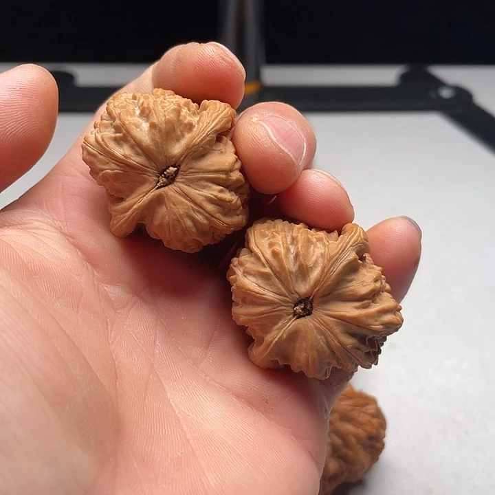 吊坠文玩核桃白狮子