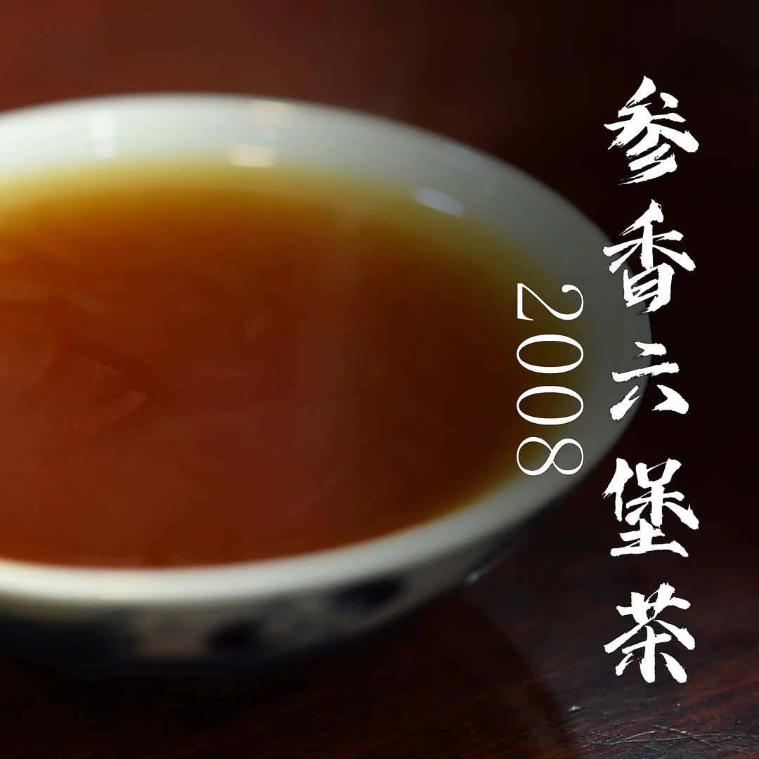 【150g】2008系列 08参香六堡茶 特级六堡茶广西梧州黑茶