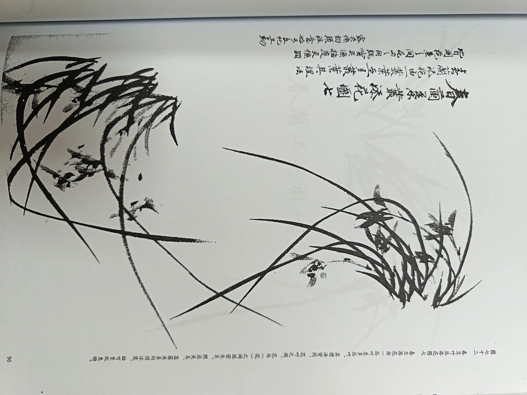 兰花生宣纸,墨韵生花