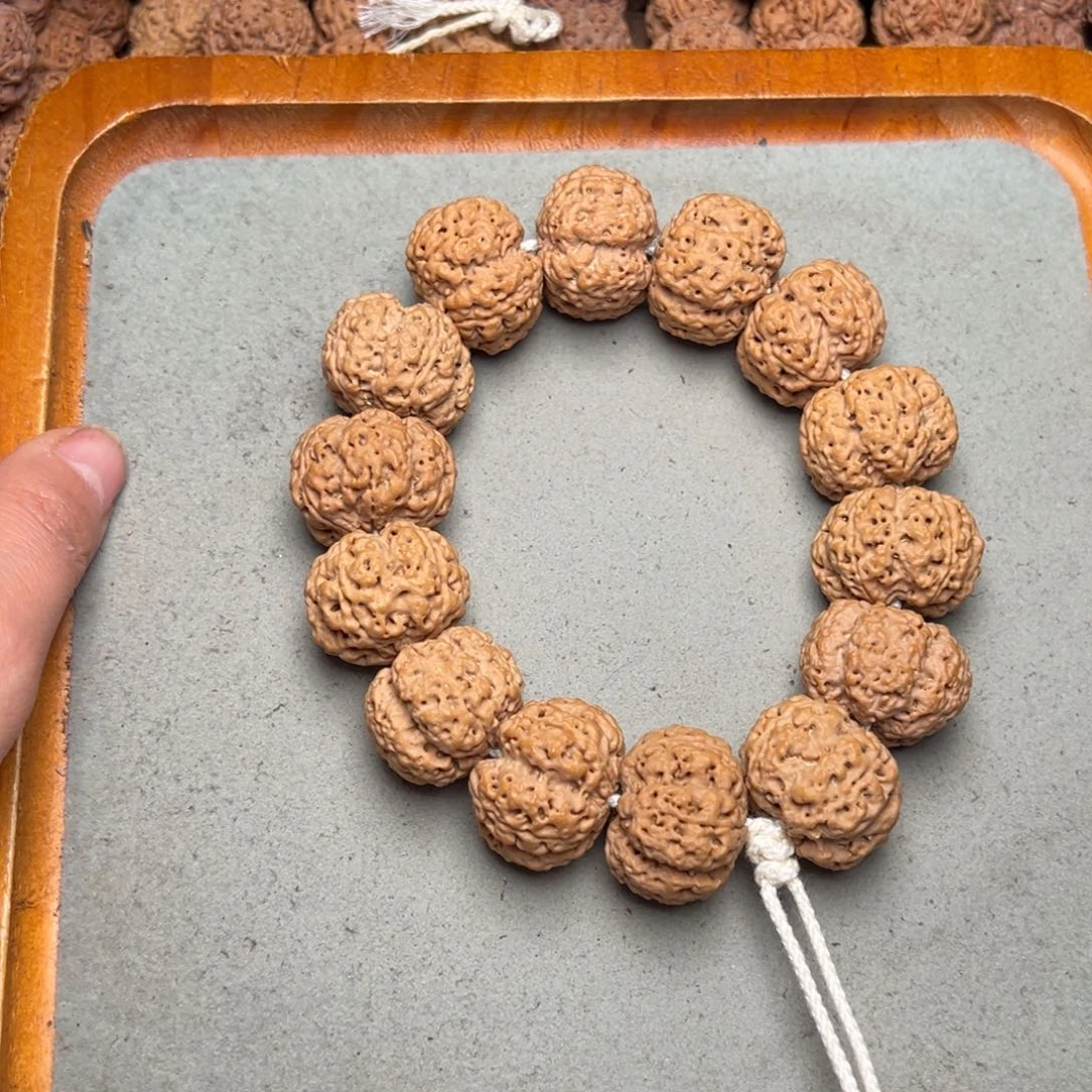 菩提5号金刚菩提梁梅花25