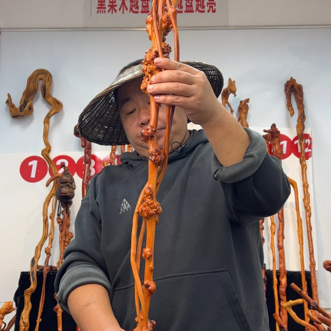 其他黑果木黑果木151