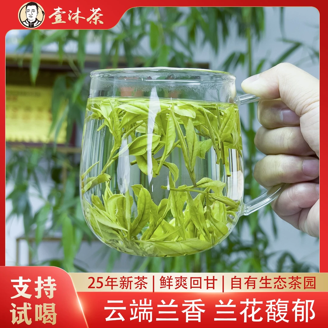 壹沐茶贵州干净白茶春茶高山白叶一号绿茶兰花香鲜爽回甘嫩芽