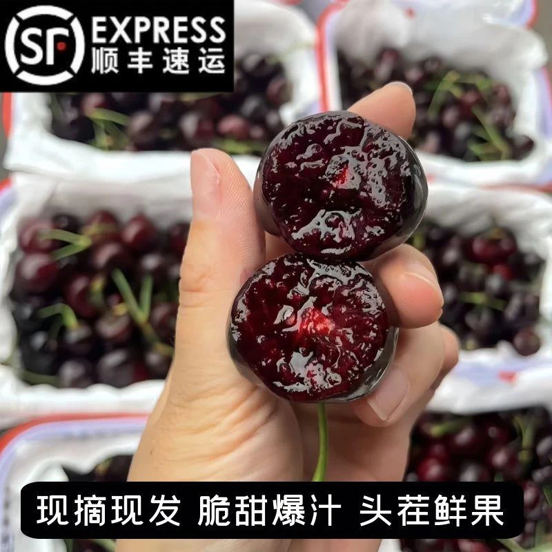 【顺丰专线】（外省拍）四川汶川黑珍珠车厘子茂县樱桃国产大樱桃当季