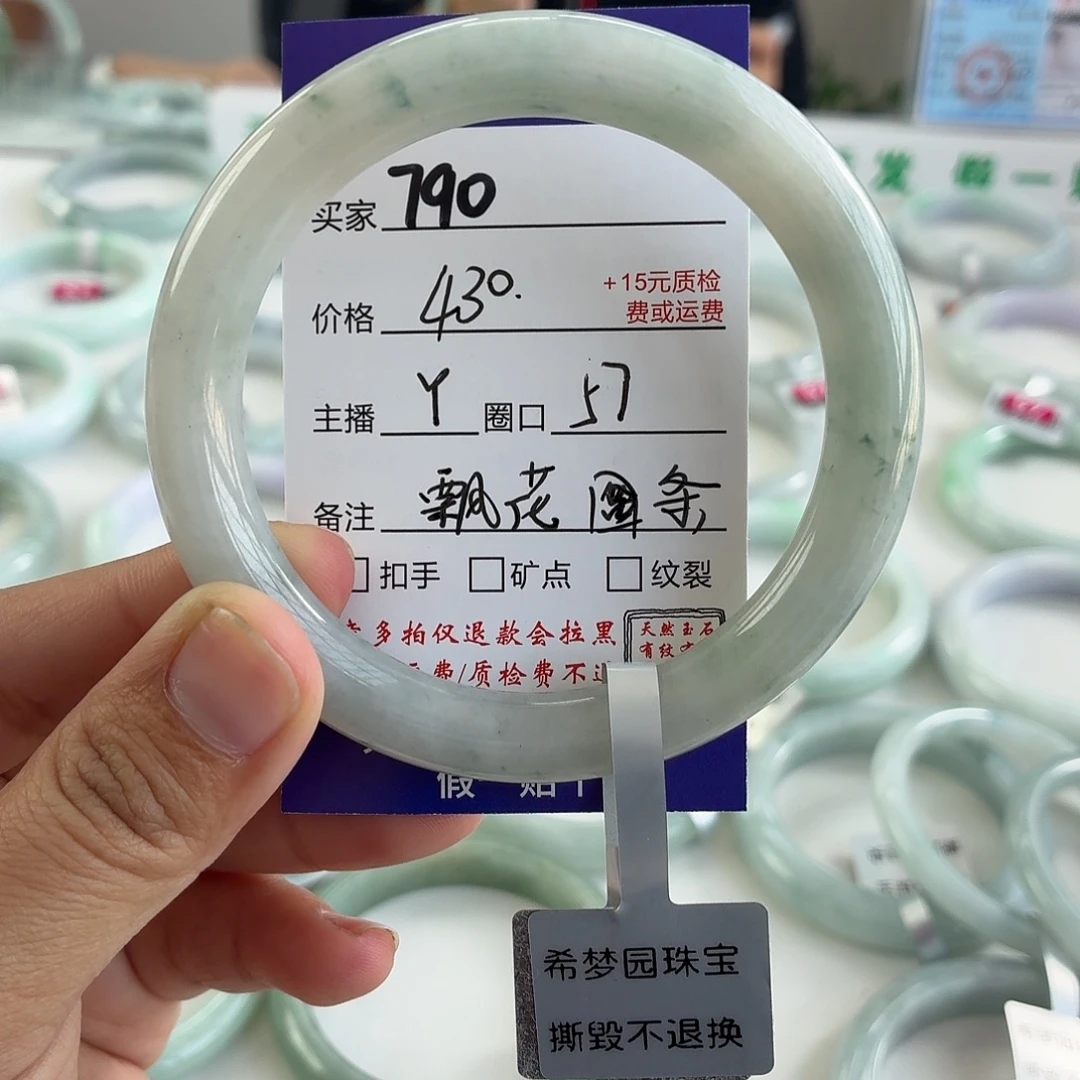 翡翠未镶嵌手镯57
