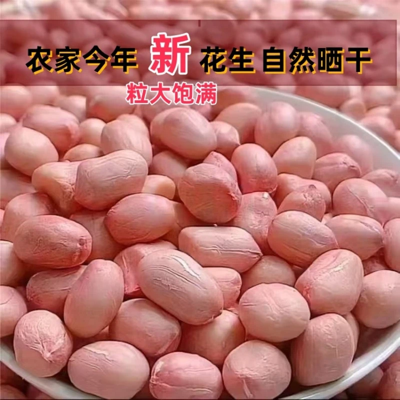 今年新鲜大白沙花生米农家自产无壳花生仁榨油饭店凉拌长粒生花生