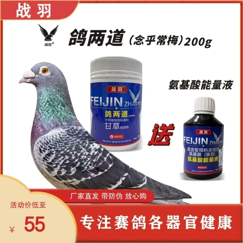 战羽鸽两道鸽子念珠霉呼吸多合一鸽用品
