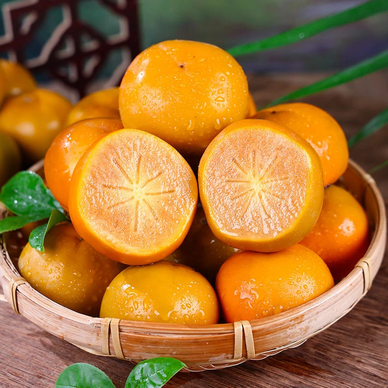 新鲜脆柿脆甜多汁巧克力脆柿子应季水果