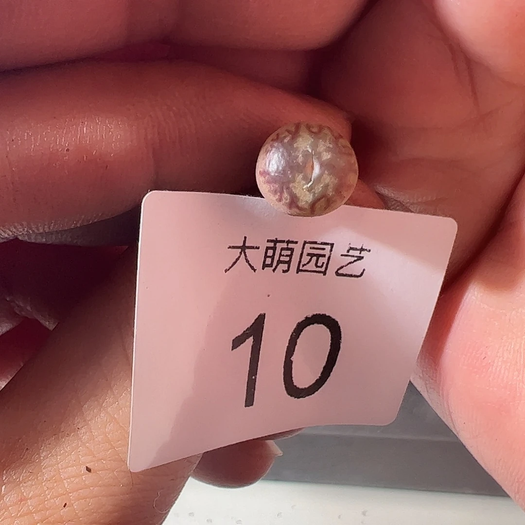 一物一拍清盒福利有疤。 10