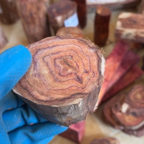 木与****✌黄花梨木料10木料