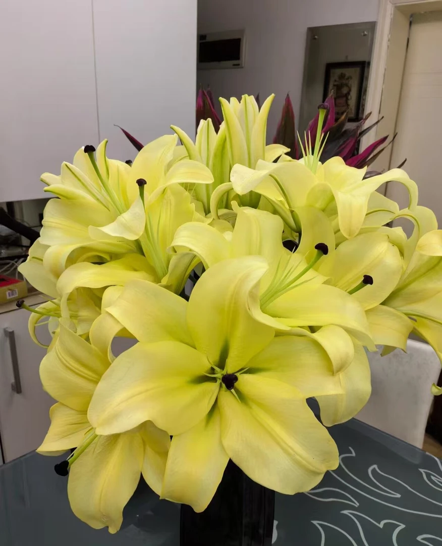 【黄天霸】香水百合 同一地址任意两单加配草一扎