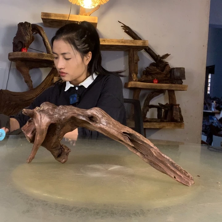 灰***狼天然的云南紫柚木会黄水