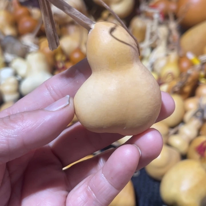 滨***哥葫芦葫哈哈哈哈哈哈