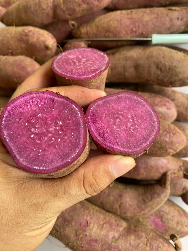 湖北襄阳新鲜紫罗兰紫薯现挖精品货