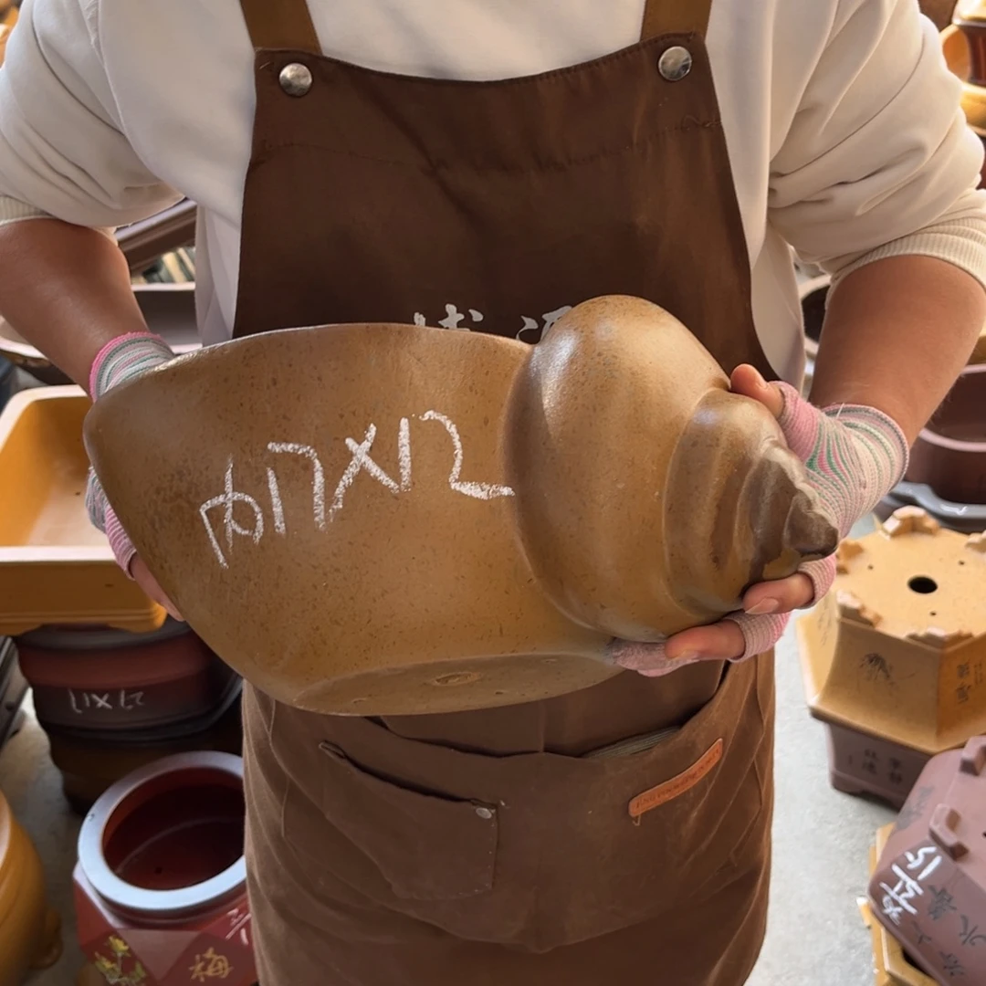 紫砂花盆盆景艺术