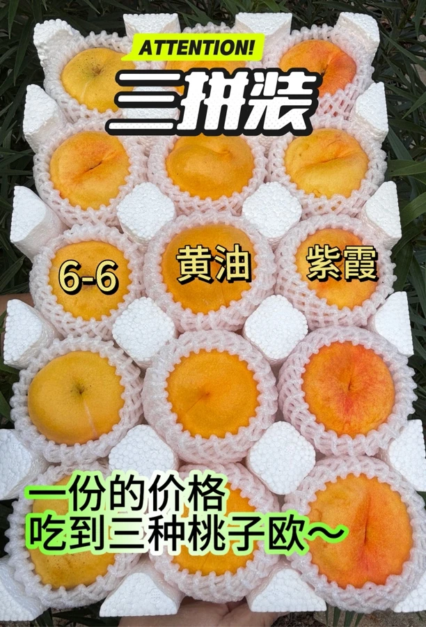 正宗蒙阴蜜桃 黄圆油桃 彩虹蟠桃 6-6蟠桃 三拼装 现摘现发