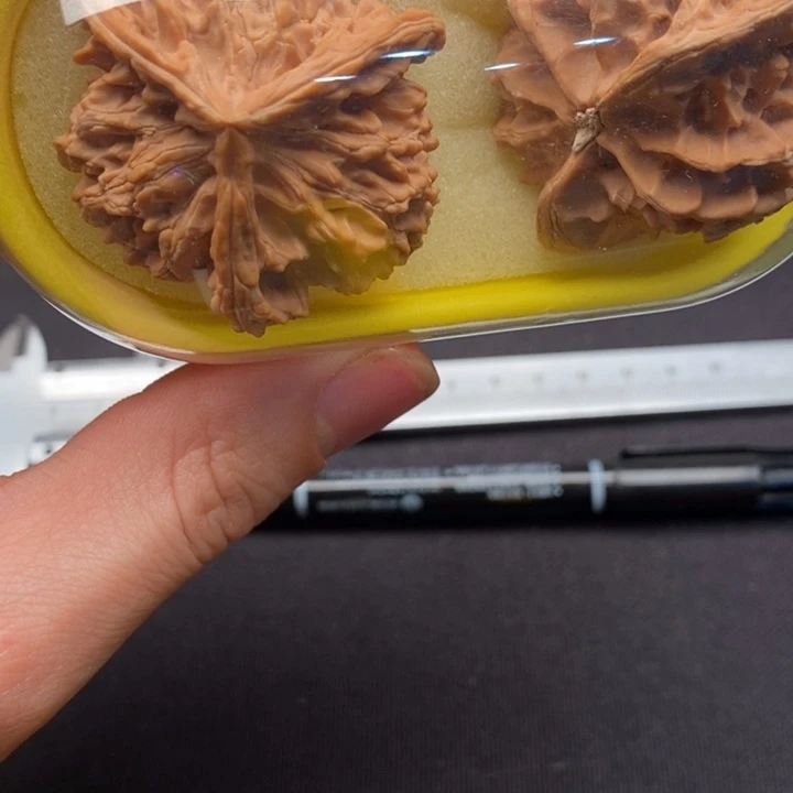 43全品盘山三棱狮子头