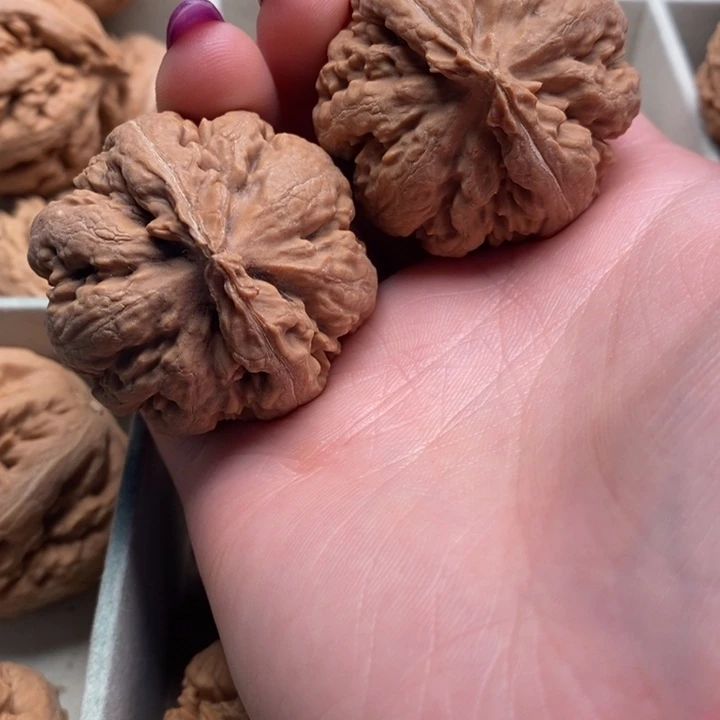 诚***胎霸王龙全品无修一刀没动