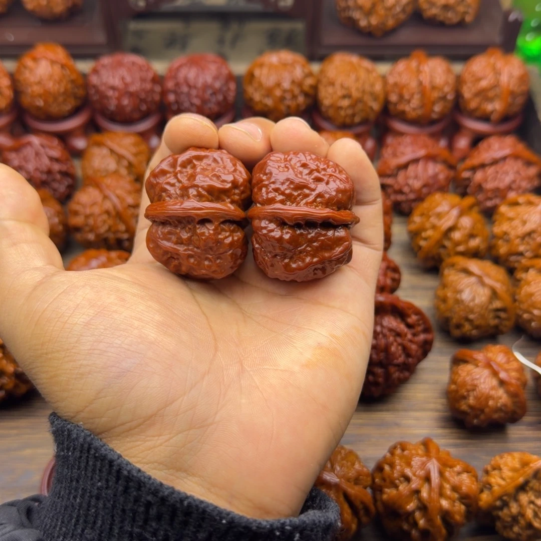 菩提籽类蛤蟆头宝贝