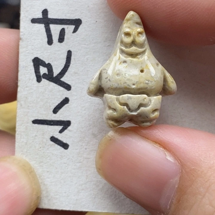 硅化珊瑚（珊瑚玉）未镶嵌颈饰