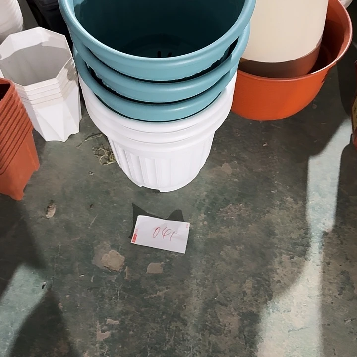 编号是041号的041号的