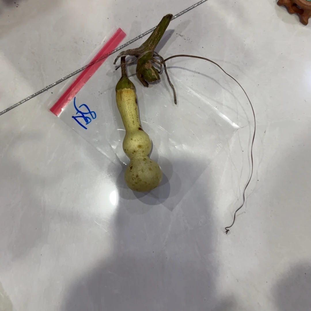 夏***炎青皮不包成，，，，，，，，，，，。，