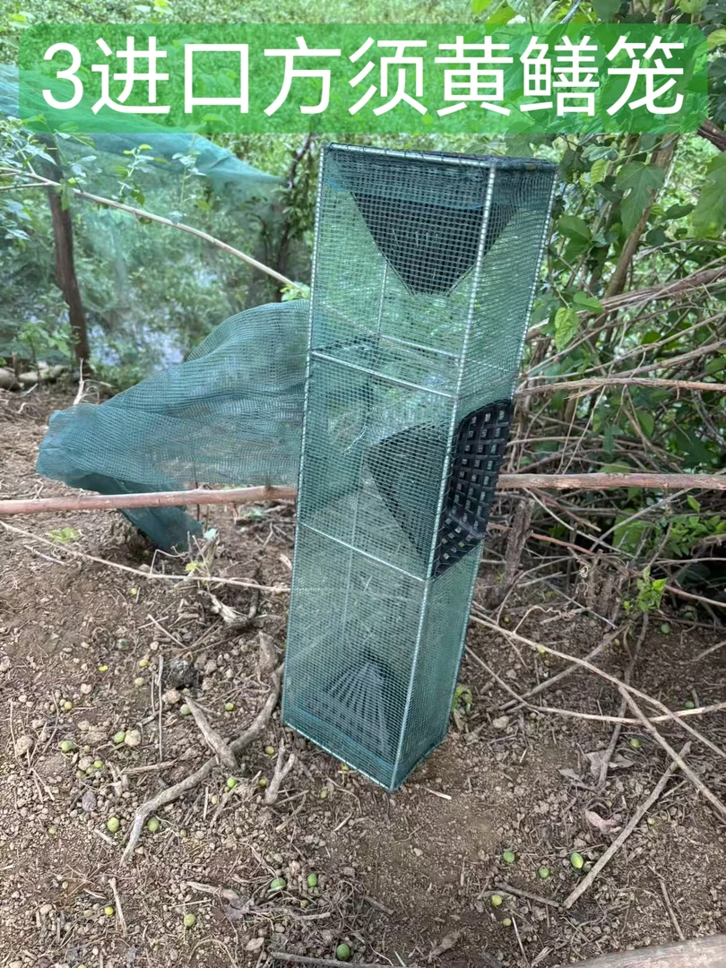 【豪子哥】稻田专用3进口方须黄鳝笼河虾笼