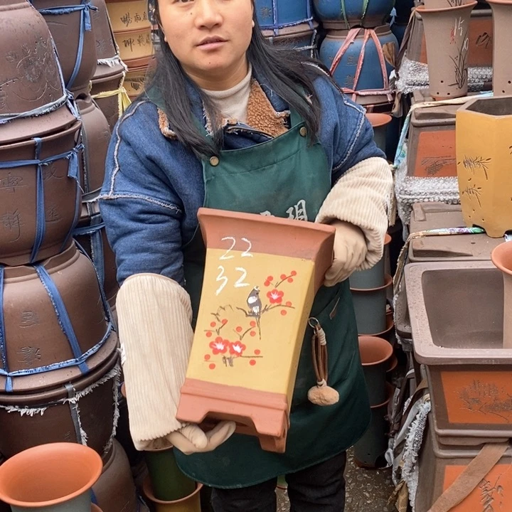 紫砂花盆盆栽花卉苗木种植