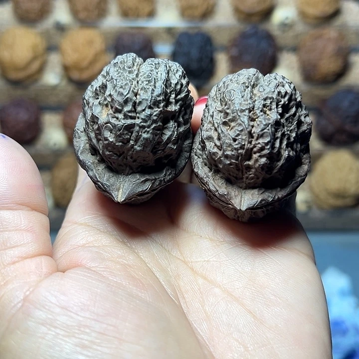 文玩核桃把件19号羊角金蟾45+