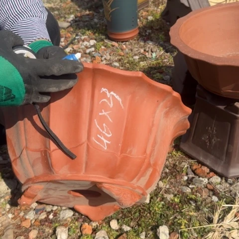 紫砂花盆紫砂花盆盆景盆栽